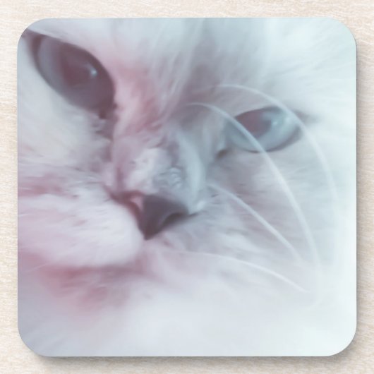 Lilly Bier Onderzetter (Voorkant)