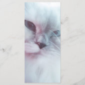 Lilly Bladwijzer Menu (Voorkant)