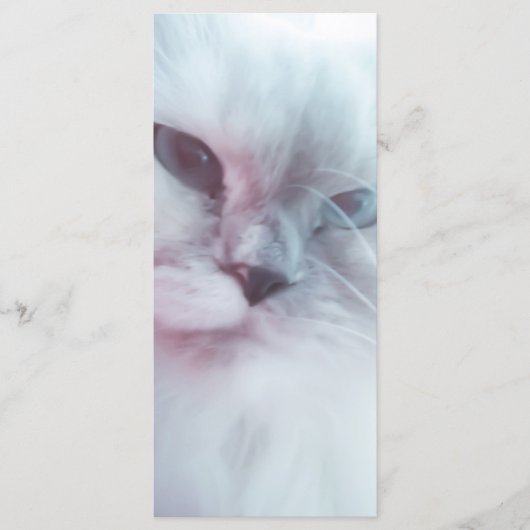 Lilly Bladwijzer Menu (Voorkant)