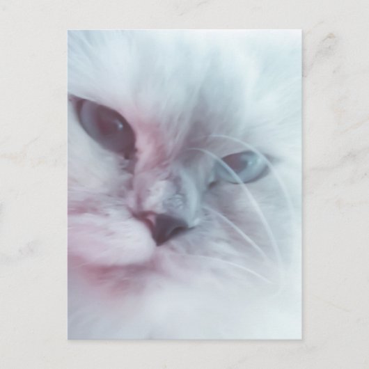 Lilly Briefkaart (Voorkant)