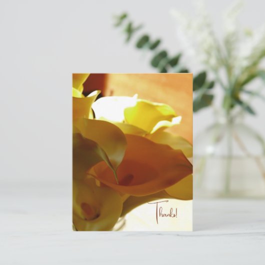 LILLY BRIEFKAART (Staand voorkant)