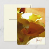 LILLY BRIEFKAART (Voorkant / Achterkant)