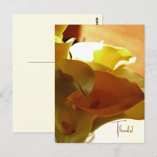 LILLY BRIEFKAART (Voorkant / Achterkant)