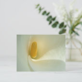 Lilly Center Briefkaart (Staand voorkant)