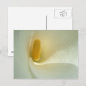 Lilly Center Briefkaart (Voorkant / Achterkant)