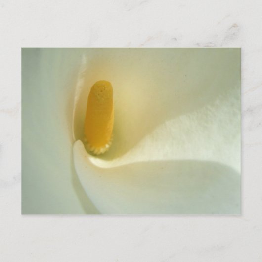 Lilly Center Briefkaart (Voorkant)