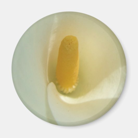 Lilly Center Magnet (Voorkant)