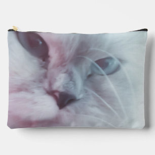 Lilly Etui