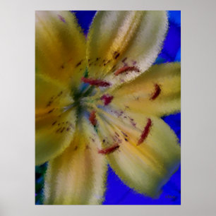 Lilly Lillies Flowers Flower Photography Poster