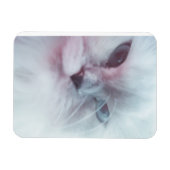 Lilly Magneet (Horizontaal)