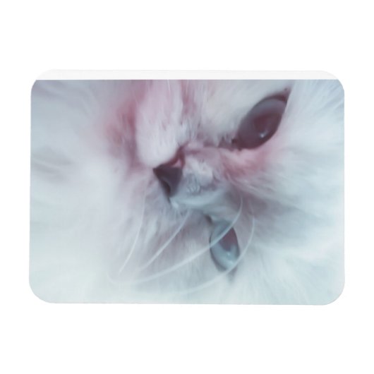 Lilly Magneet (Horizontaal)