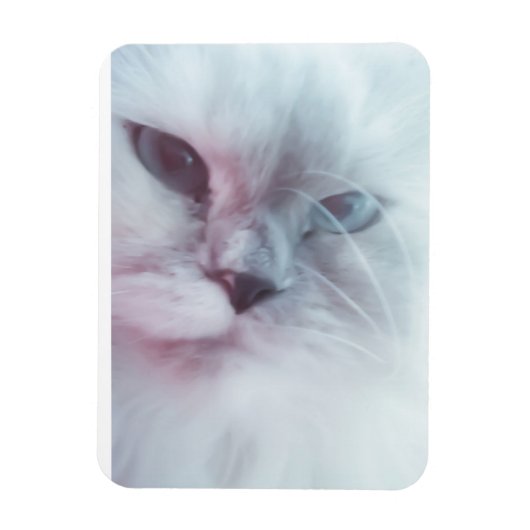 Lilly Magneet (Verticaal)