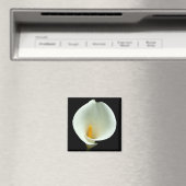 Lilly Magnet (Insitu (Vaatwasser))