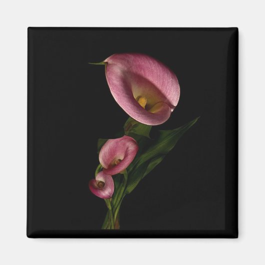 Lilly Magnet (Voorkant)