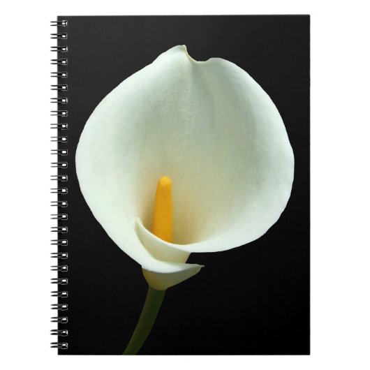 Lilly Notitieboek (Voorkant)