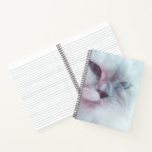 Lilly Notitieboek (Binnen)