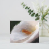 Lilly of the Nile Briefkaart (Staand voorkant)