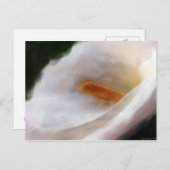 Lilly of the Nile Briefkaart (Voorkant / Achterkant)