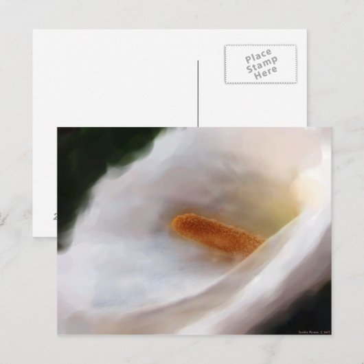 Lilly of the Nile Briefkaart (Voorkant / Achterkant)