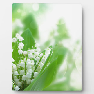 Lilly of the valley fotoplaat