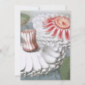 Lilly Pads Floral Wedding Invitation Kaart (Achterkant)