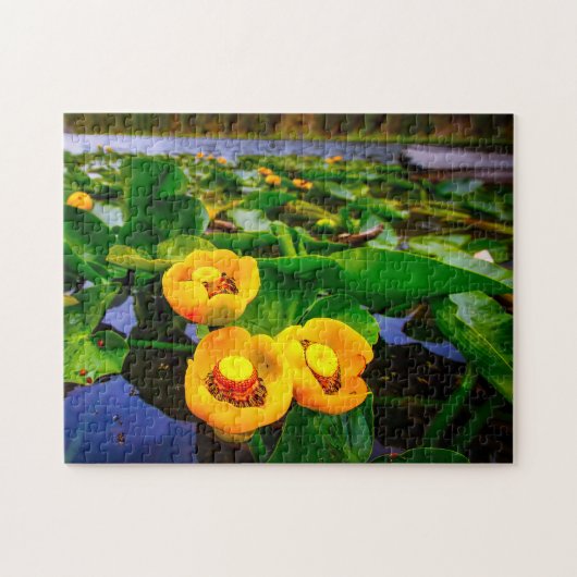 Lilly Pads. Legpuzzel (Horizontaal)