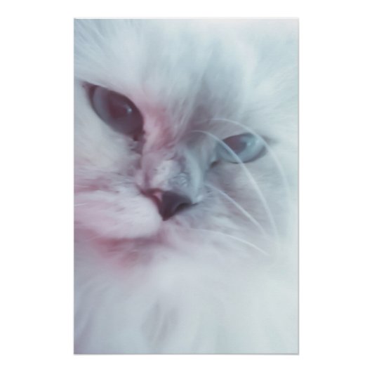 Lilly Perfect Poster (Voorkant)