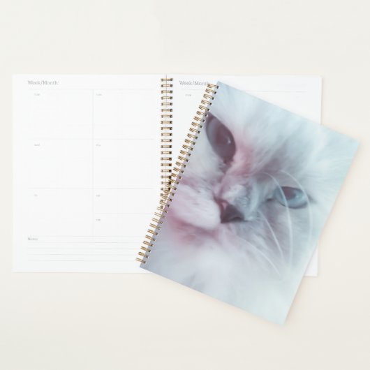 Lilly planner (Display)