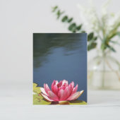 Lilly Pond Flowers Briefkaart (Staand voorkant)
