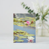 Lilly Pond Flowers Briefkaart (Staand voorkant)