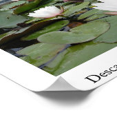Lilly Pond Poster (Hoek)