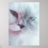 Lilly Poster (Voorkant)