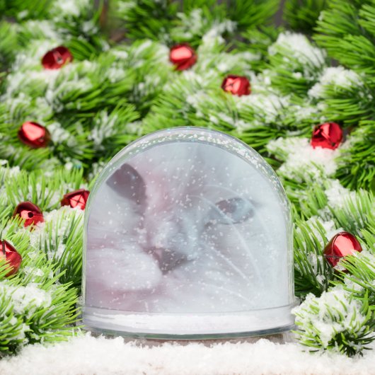 Lilly  sneeuwbol (Kerstmis)