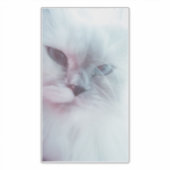 Lilly Sticker (Voorkant)