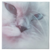 Lilly Tegeltje (Voorkant)