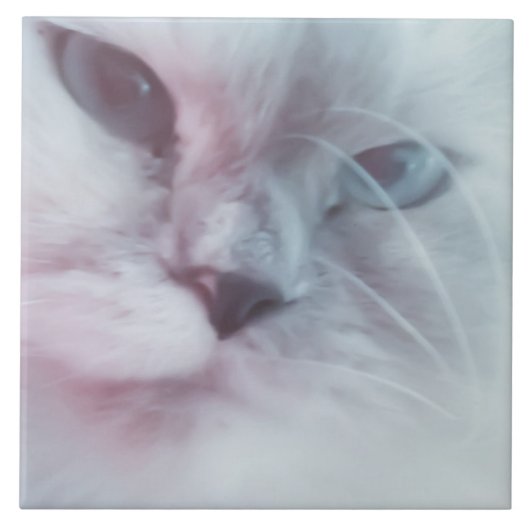 Lilly Tegeltje (Voorkant)