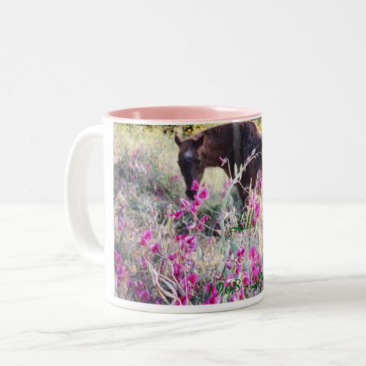 Lilly                                        ... tweekleurige koffiemok (Voorkant links)