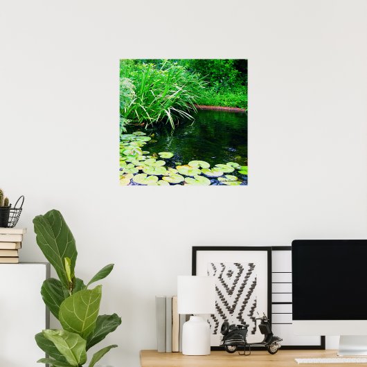 lilly vijver, www.zazzle.com/jbpeanut poster (Thuiskantoor)