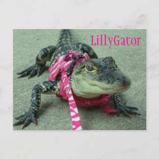 LillyGator Alligator Rescue Briefkaart