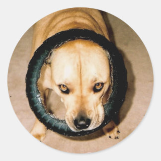 Lilo in Tyre Ronde Sticker
