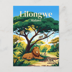Lilongwe Wildlife Centre Malawi Briefkaart
