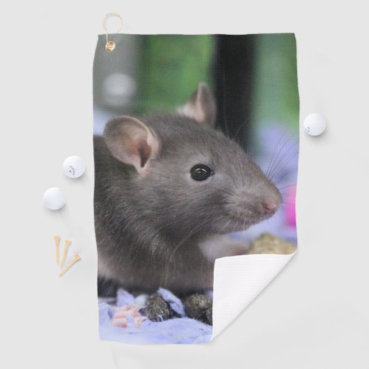 Lilrat Golfhanddoek (Insitu)