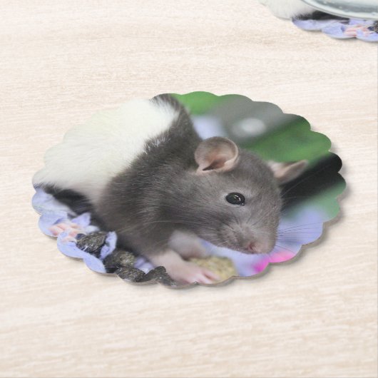 Lilrat Kartonnen Onderzetters (Gekanteld)