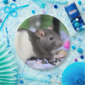 Lilrat Papieren Bordje (Feest)