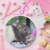 Lilrat Papieren Bordje (Feest)