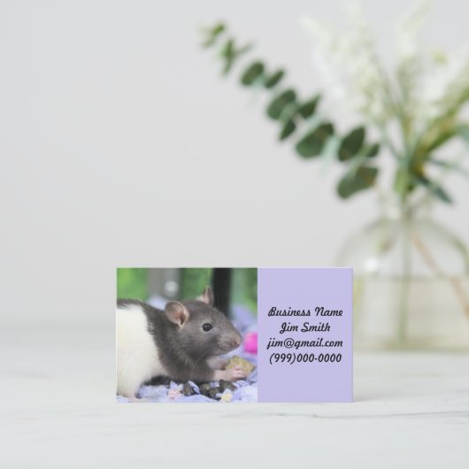 Lilrat Visitekaartje (Staand voorkant)