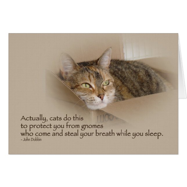 Lily #1 (Voorkant Horizontaal)