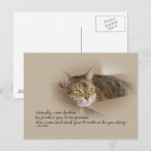 Lily #1 briefkaart (Voorkant / Achterkant)