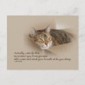 Lily #1 briefkaart (Voorkant)