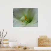 Lily 1 poster (Keuken)